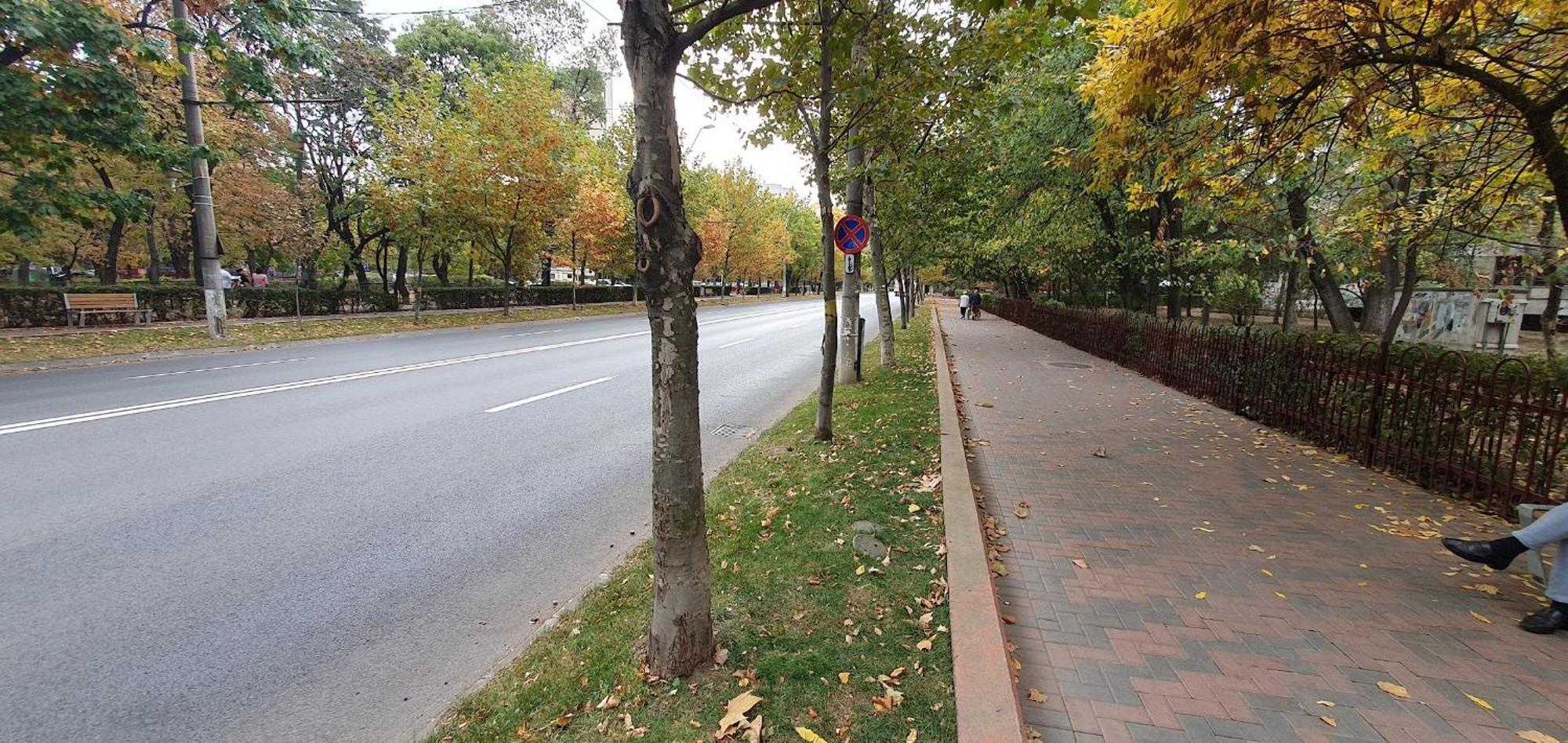 City Break Park Studio Bucureşti Eksteriør bilde